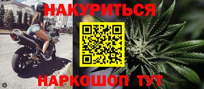 сатива Аргун