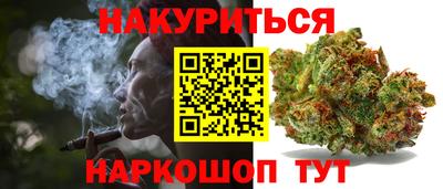 сатива Аргун