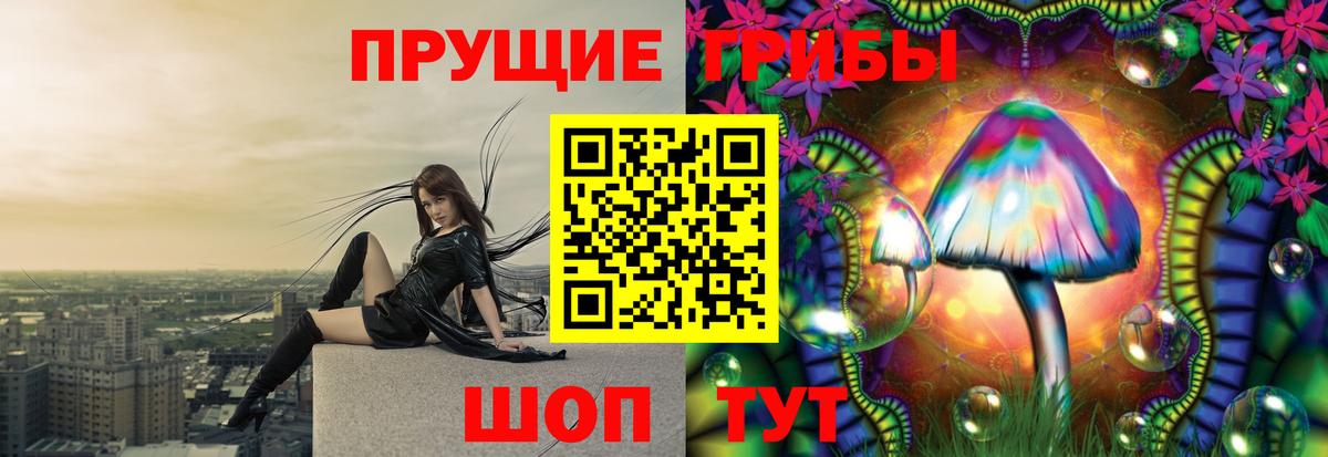 Балаково  Галлюциногенные грибы MAGIC MUSHROOMS  Вход с VPN 