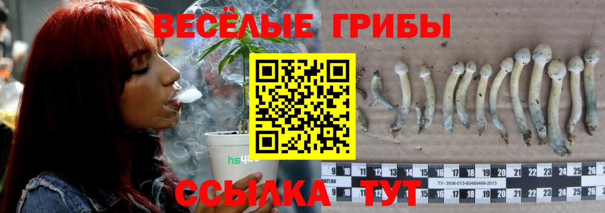 Купить наркотик  ГАШИШ  Конопля  Кокаин  Меф МЯУ МЯУ кристаллы  МЕТ  ГАШ  Балаково  Вход с VPN 